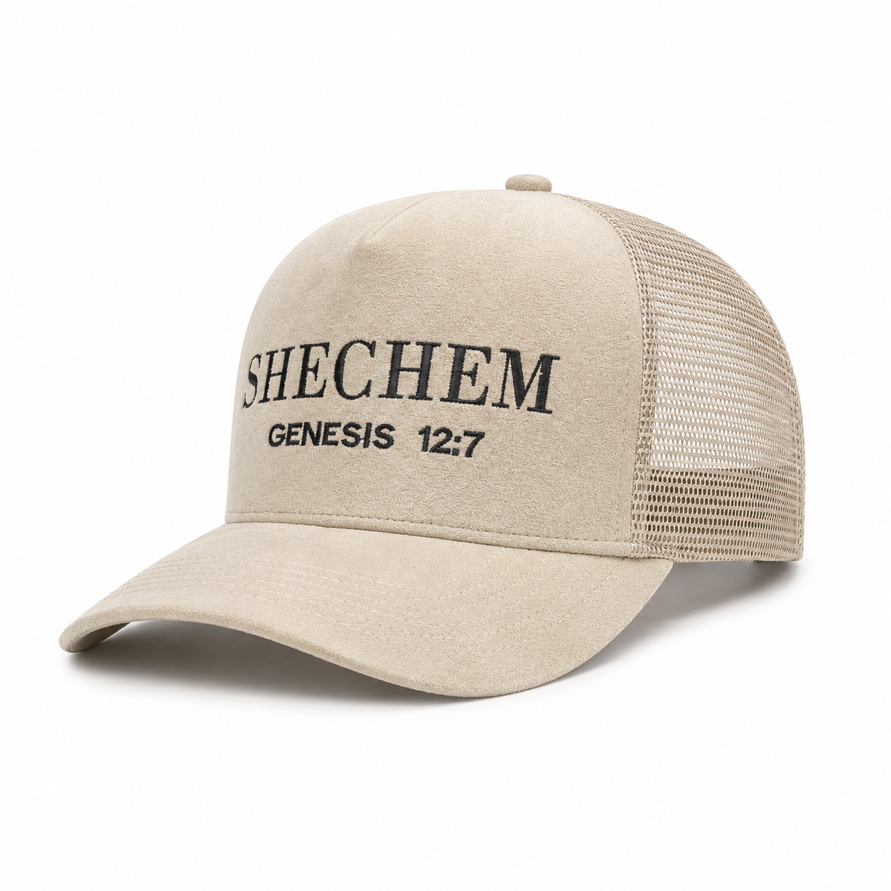 Translation missing: en.The Shechem Velour Hat - Beige