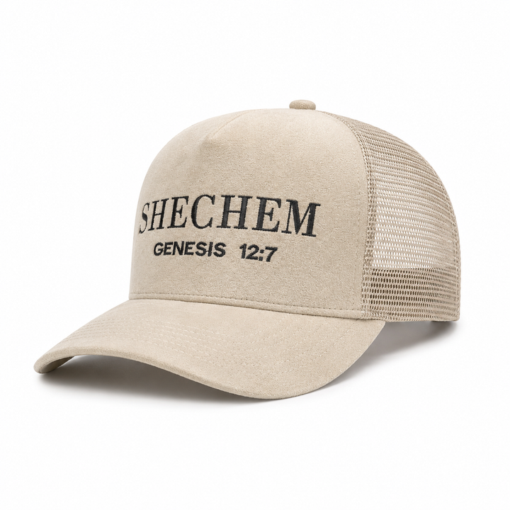 Translation missing: en.The Shechem Velour Hat - Beige